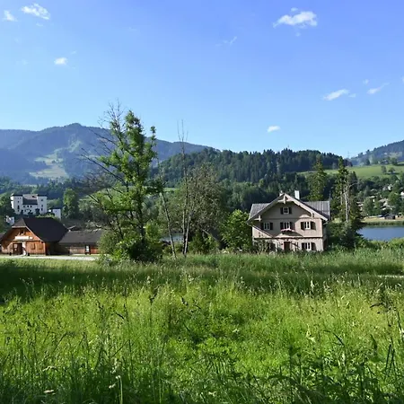 Marktlhaus Apartment Goldegg